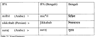 Linguistic analysis of Perso-Arabic loanwords