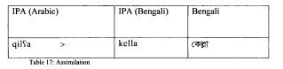 Linguistic analysis of Perso-Arabic loanwords