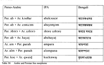 Morphological analysis of Perso-Arabic loanwords