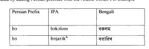 Morphological analysis of Perso-Arabic loanwords