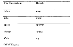 Morphological analysis of Perso-Arabic loanwords