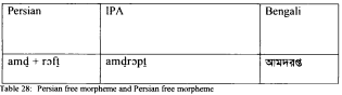 Morphological analysis of Perso-Arabic loanwords