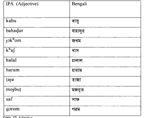 Morphological analysis of Perso-Arabic loanwords