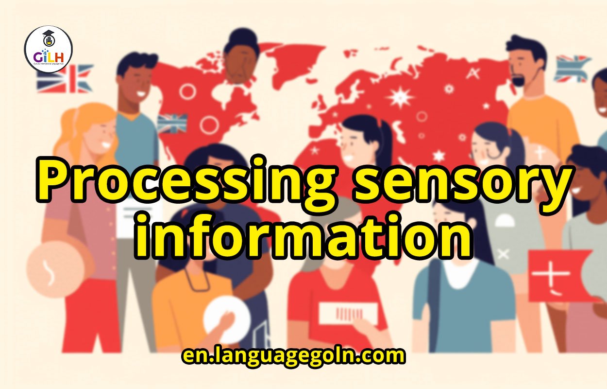 Processing sensory information